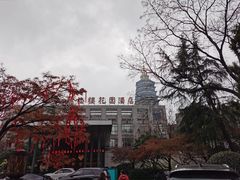 -听松楼·花园酒店·自助餐厅(红梅公园店)