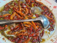 -禄鼎记·多口味酸菜鱼(侨鑫店)