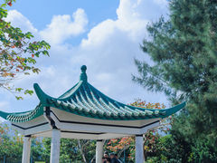 -讯号山花园
