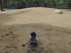 -宁波九龙湖开元度假村