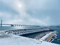 -星海湾跨海大桥