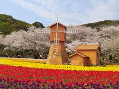 -苏州上方山国家森林公园