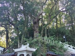 -方岩风景区