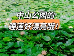-中山公园