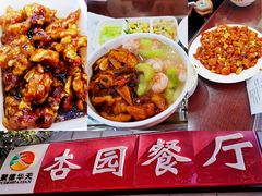 -杏园餐厅(西四北大街店)