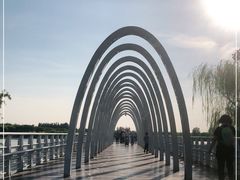 -大兴滨河森林公园