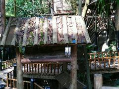 -天门沟九州驿站树上汤泉