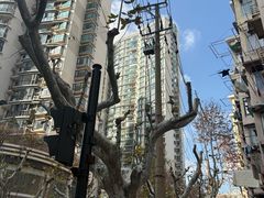 -老地方面馆(思南路店)