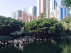 -九龙公园