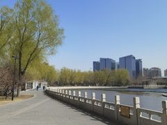 -莲花池公园
