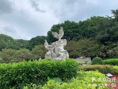 -金鸡山公园