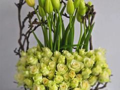 -金陵之星大酒店·中餐厅