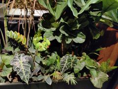 -半秋山西餐厅(宜昌大洋店)