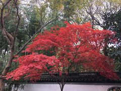 -秋霞圃