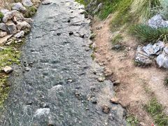 -羊山湖公园