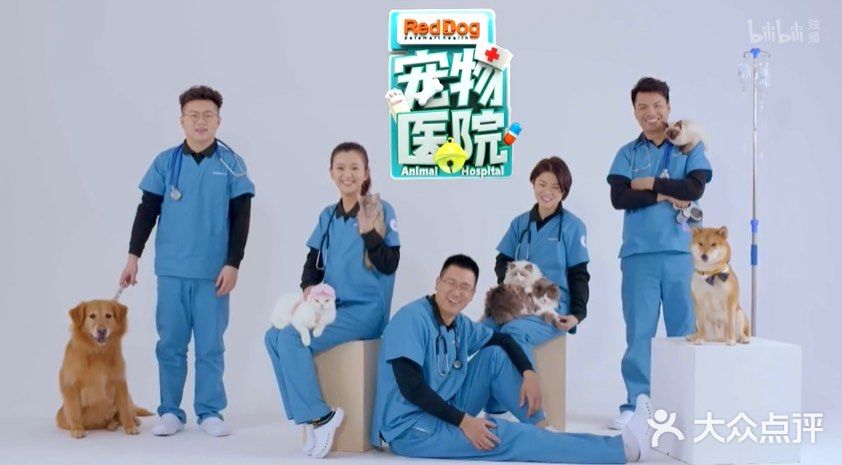 养，就要负责！这是人生中美好的羁绊。