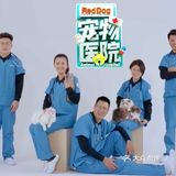 养，就要负责！这是人生中美好的羁绊。