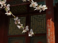 -颐和园