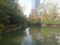 -成都世纪城假日酒店-西楼