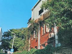 -溪岸路花鸟市场