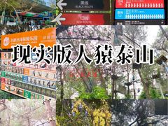 -芦仙山景区-飞越丛林探险乐园