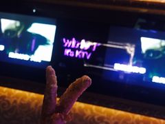 -温莎KTV(珠江路店)