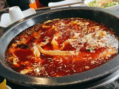 -老船舫·现做活鲜鱼馆(东郊记忆店)