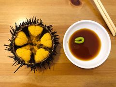 -海胆小馆(东北水饺·春柳店)