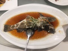 -頂好酒家·经典粤菜(海信广场店)