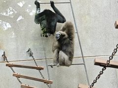 -昆明动物园