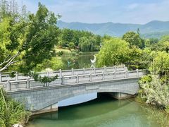 -雅达·阳羡溪山小镇中心