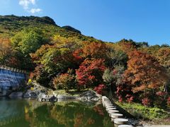 -龙道沟景区