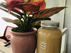 高山乌龙茶冻奶茶-夻茶HUATEA(水晶郦城店)