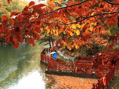 -洛阳白云山景区