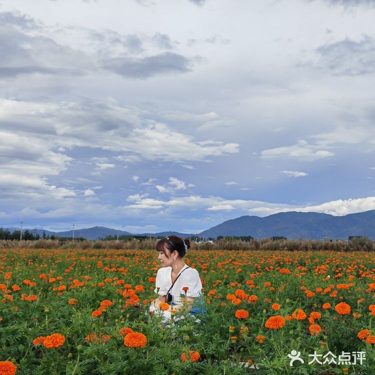 大理环洱海自驾露营攻略✅遇见不一样的苍山洱海