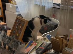 -大理床单厂艺术区