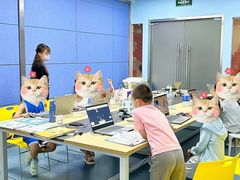 -斯坦星球AI编程·机器人科创·科学实验·信奥·思维·STEM·积木拼搭·竞赛考级(浦东联洋广场大拇指龙阳御桥中心)