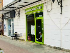 -油梨树AVOCADO TREE(顺义新国展店)