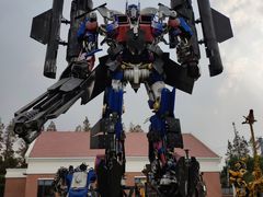 -上海长兴岛郊野公园