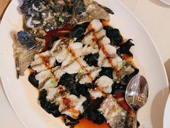 古法蒸老虎斑-利苑酒家(金宝店)