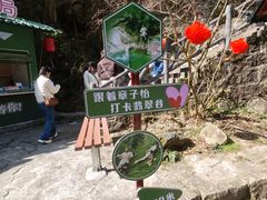 -黄山翡翠谷景区