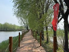 -白渔泡湿地公园