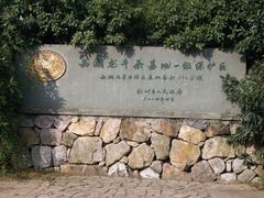 -龙井村