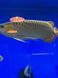 -青木造型HAIR·あおき髪を刈る潮人店