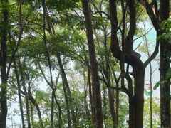 -广州市流溪河国家森林公园