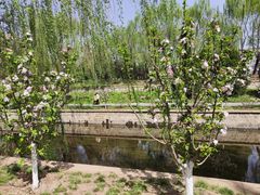 -元大都城垣遗址公园