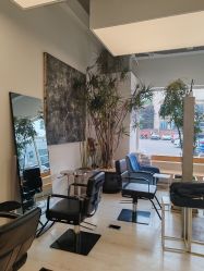 -Hair  Gallery