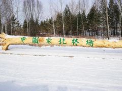 -北极村旅游风景区