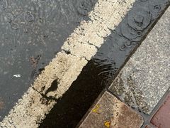 -煲珠公·老红糖珍珠奶茶(长宁龙之梦店)