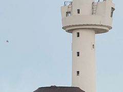 -ChanDu躔度咖啡(灯塔店)